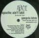 $ APACHE / GANGSTA BITCH * Apache Ain't Shit (TB 541) YYY334-4161-2-7?