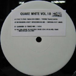 画像1: $ QUAKE WHITE VOL.18 (QRPR-18) Y11