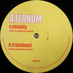 画像1: Æternum / Ensanity  残少 A5580
