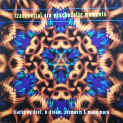 画像1: Various ‎/ Trancentral Six - Psychedelic Moments (2LP) ラスト A5588