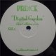 %% Prince / Digital Garden (Adam Goldstone Remix) US (SGS-1) YYY478-5099B-1-1 完売