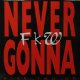 FKW / NEVER GONNA GIVE YOU UP
