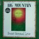 BIG MOUNTAIN / SWEET SENSUAL LOVE