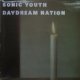 SONIC YOUTH / DAYDREAM NATION ( 2LP) 