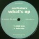 NORTHSTARZ / WHAT'S UP