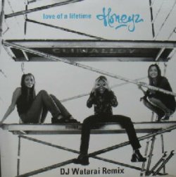 画像1: $ Honeyz / love of a lifetime (MR-092) 国内限定盤 (DJ Watarai Remix) 原修正 Y?