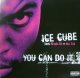 $ ICE CUBE / YOU CAN DO IT (12GLOBE396) YYY-364-4609-1-1+3窪み 後程済