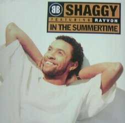 画像1: SHAGGY / IN THE SUMMERTIME レゲエ YYY58-1246-3-60