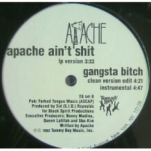 画像: $ APACHE / GANGSTA BITCH * Apache Ain't Shit (TB 541) YYY334-4161-2-7?