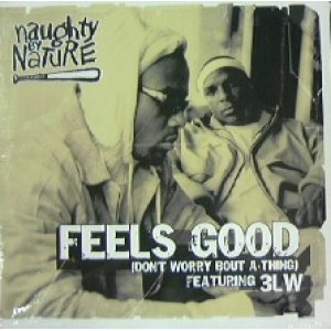 画像: NAUGHTY BY NATURE / FEELS GOOD