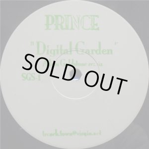 画像: %% Prince / Digital Garden (Adam Goldstone Remix) US (SGS-1) YYY478-5099B-1-1