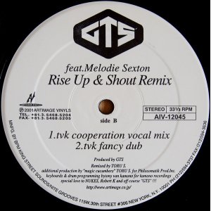 画像: $ GTS feat. Melodie Sexton / Rise Up & Shout Remix (AIV-12045) YYY480-5174-1-12-5F