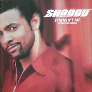 画像: $ SHAGGY / IT WASN'T ME (DO IT 07.01) YYY219-2385-7-8