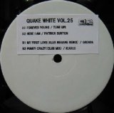 画像: $ QUAKE WHITE VOL.25 (QRPR-25) Y4