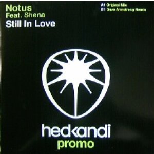 画像: NOTUS FEAT. SHENA / STILL IN LOVE - NEW