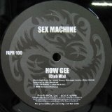 画像: SEX MASHINE / HOW GEE (FAPR-100)
