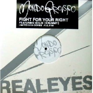 画像: $ MONDO GROSSO / FIGHT FOR YOUR RIGHT (AIJL 5168) YYY114-1787-13-20 後程済