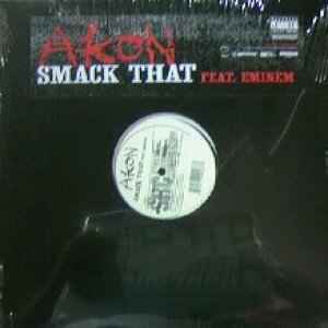 画像: AKON FEAT. EMINEM / SMACK THAT