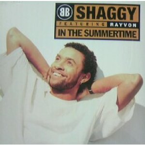 画像: $ SHAGGY / IN THE SUMMERTIME (7243 8 38496 1) US (Y-38496) レゲエ YYY58-1246-3-60