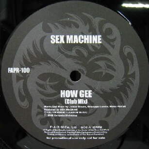 画像1: SEX MASHINE / HOW GEE (FAPR-100)