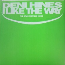 画像1: DENI HINES / I LIKE THE WAY 2  原修正