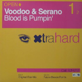 画像1: VOODOO & SERANO / BLOOD IS PUMPIN' (UK)