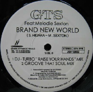 画像1: $ GTS / BRAND NEW WORLD (AIV-12022) DJ-TURBO"RAISE YOUR HANDS"MIX YYY82-1505-15-15 後程済