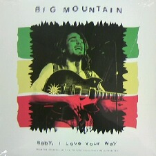 画像1: $ Big Mountain / Baby, I Love Your Way (US) シールド (07863 62779-1) YYY208-3056-10-100+4F-11B3 & 24A2 後程済